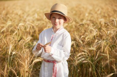 Gündüz sırasında buğday alanında Genç beyaz çocuk