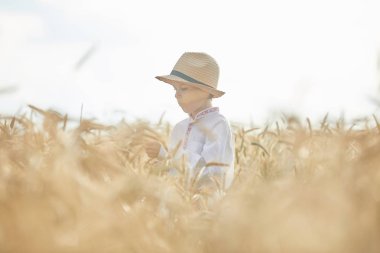 Gündüz sırasında buğday alanında Genç beyaz çocuk