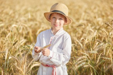 Gündüz sırasında buğday alanında Genç beyaz çocuk