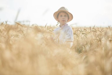 Gündüz sırasında buğday alanında Genç beyaz çocuk