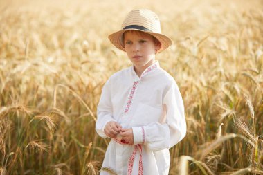 Gündüz sırasında buğday alanında Genç beyaz çocuk