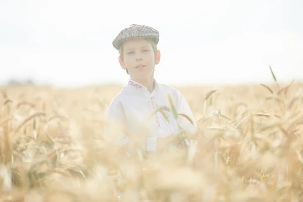 Young Caucasian Boy Wheat Field Daytime — Stock Photo, Image