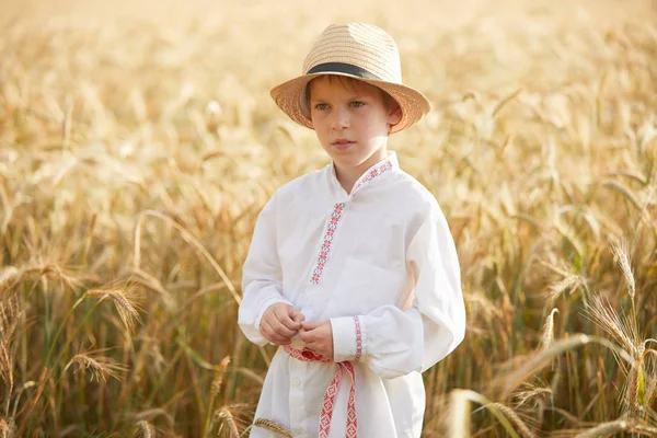 Юный Кавказский Мальчик Пшеничном Поле Днем — стоковое фото