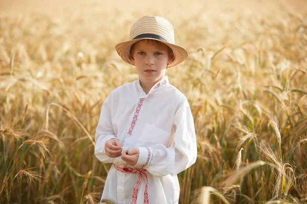 Gündüz sırasında buğday alanında Genç beyaz çocuk