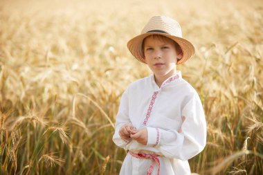 Gündüz sırasında buğday alanında Genç beyaz çocuk