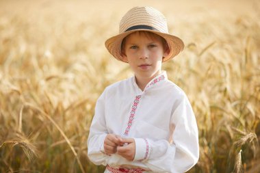 Gündüz sırasında buğday alanında Genç beyaz çocuk