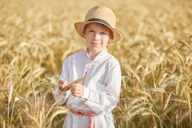 Gündüz sırasında buğday alanında Genç beyaz çocuk