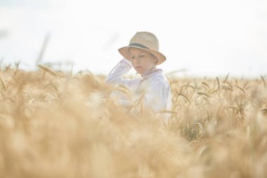 Gündüz sırasında buğday alanında Genç beyaz çocuk