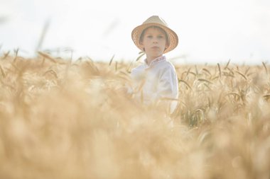 Gündüz sırasında buğday alanında Genç beyaz çocuk