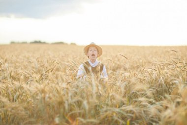 Gündüz sırasında buğday alanında Genç beyaz çocuk
