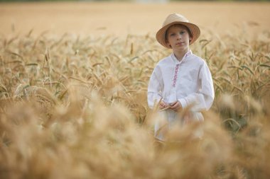 Gündüz sırasında buğday alanında Genç beyaz çocuk