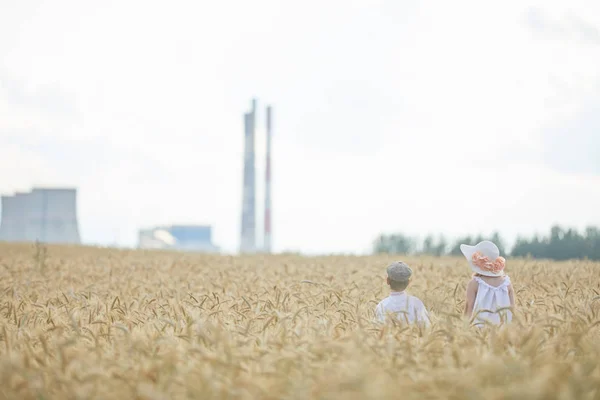 Tineri Caucazieni Băiat Femeie Câmp Grâu Timpul Zilei — Fotografie, imagine de stoc