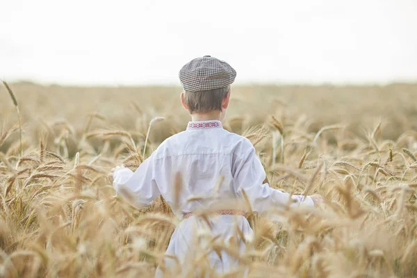 stock image Young caucasian boy on wheat field during daytime