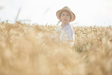 Gündüz sırasında buğday alanında Genç beyaz çocuk