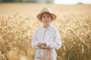 Gündüz sırasında buğday alanında Genç beyaz çocuk