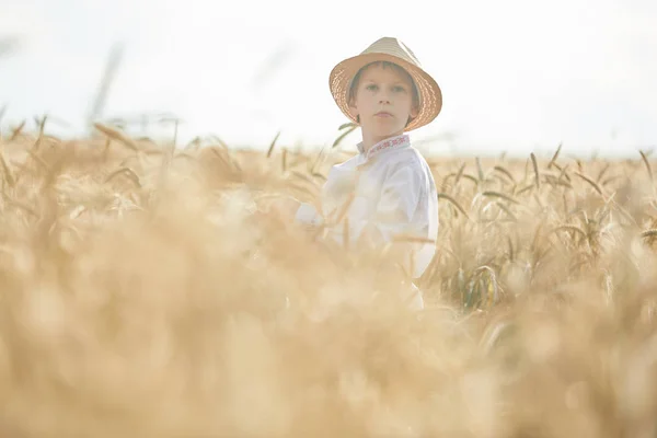 Mladý Kavkazský Chlapec Pšeničném Poli Během Dne — Stock fotografie