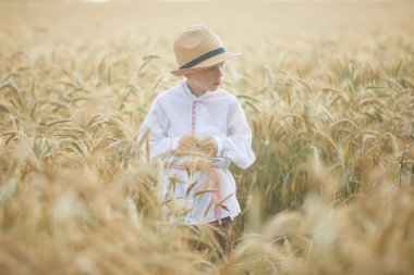 Gündüz sırasında buğday alanında Genç beyaz çocuk