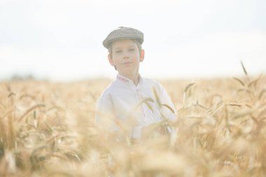 Gündüz sırasında buğday alanında Genç beyaz çocuk
