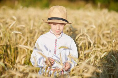 Gündüz sırasında buğday alanında Genç beyaz çocuk