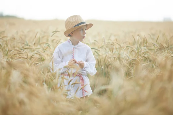 昼間の小麦畑の若い白人少年 — ストック写真