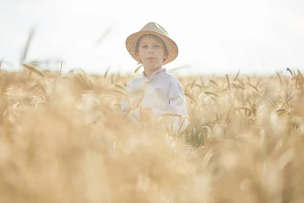Mladý Kavkazský Chlapec Pšeničném Poli Během Dne — Stock fotografie