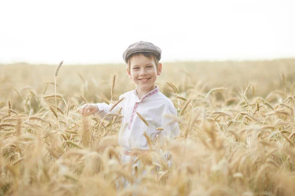 Young Caucasian Boy Wheat Field Daytime — Stock Photo, Image