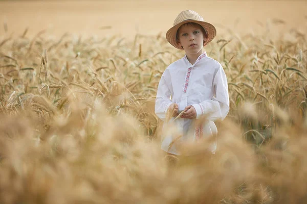 Anak Muda Kaukasia Ladang Gandum Pada Siang Hari — Stok Foto