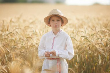 Gündüz sırasında buğday alanında Genç beyaz çocuk