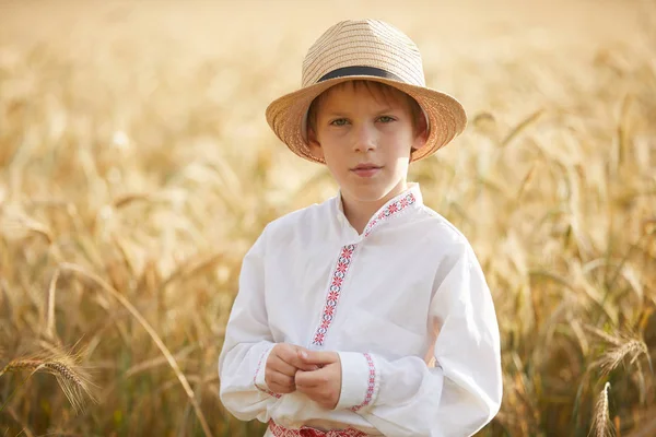 Νεαρό Καυκάσιο Παιδί Χωράφι Σιτάρι Κατά Διάρκεια Της Ημέρας — Φωτογραφία Αρχείου