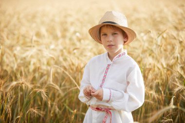 Gündüz sırasında buğday alanında Genç beyaz çocuk