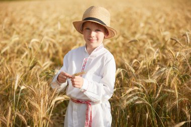 Gündüz sırasında buğday alanında Genç beyaz çocuk