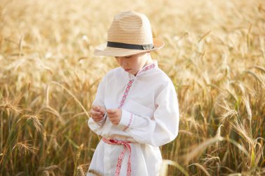 Gündüz sırasında buğday alanında Genç beyaz çocuk