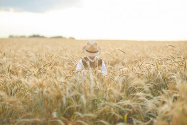 Gündüz sırasında buğday alanında Genç beyaz çocuk