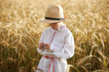Gündüz sırasında buğday alanında Genç beyaz çocuk
