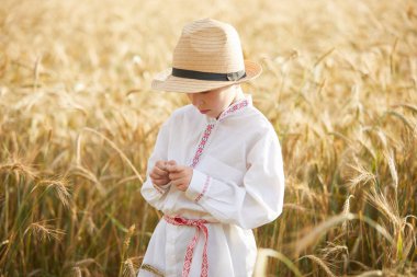 Gündüz sırasında buğday alanında Genç beyaz çocuk