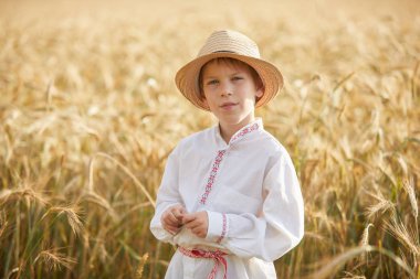 Gündüz sırasında buğday alanında Genç beyaz çocuk