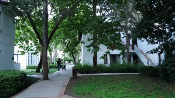 Beautiful green garden with high trees and little houses — Stock Footage Beautiful green garden with high trees and little houses Royalty Free Stock Footage