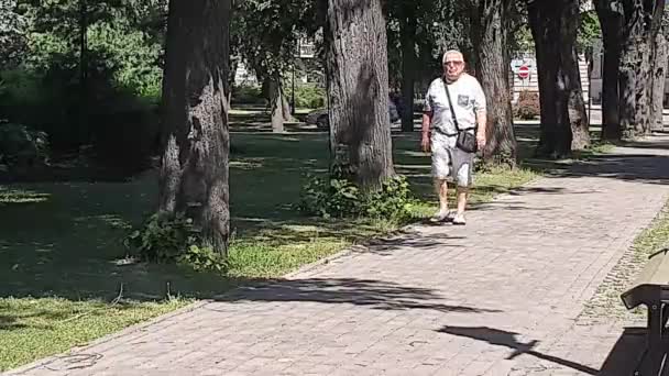 아름다운 푸른 공원을 걷고 있는 노인 관광객 이 큰 나무를 지나고 있다 — 비디오