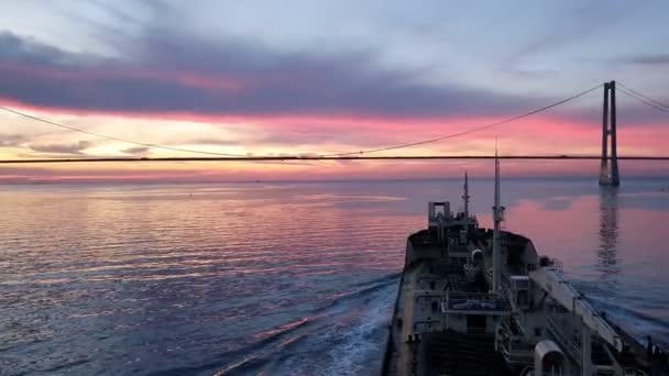 Moderno granelero navega cerca de puente enorme al atardecer — Vídeo de stock