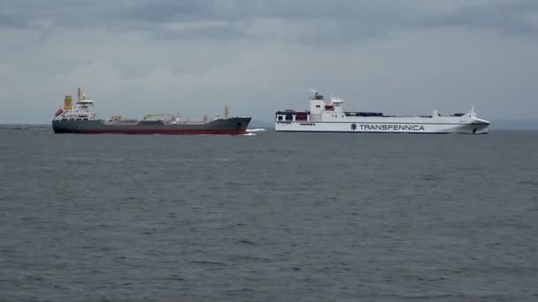 Tremendous freight vessels sail on grey water surface — Stock Video