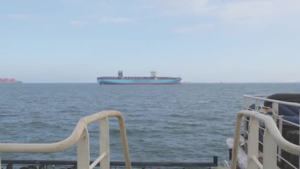 Hombre contra el distante buque portacontenedores MaerskLine parado inactivo — Vídeo de stock