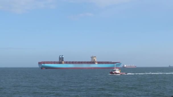 Remolcador portuario danés contra gran buque portacontenedores MaerskLine — Vídeos de Stock
