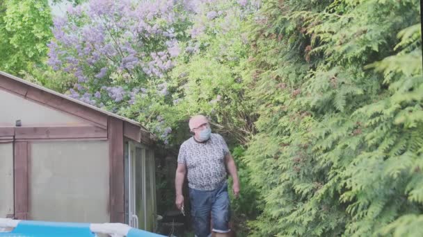 Старший чоловік в медичній масці починає різати кучеряве соснове дерево — стокове відео