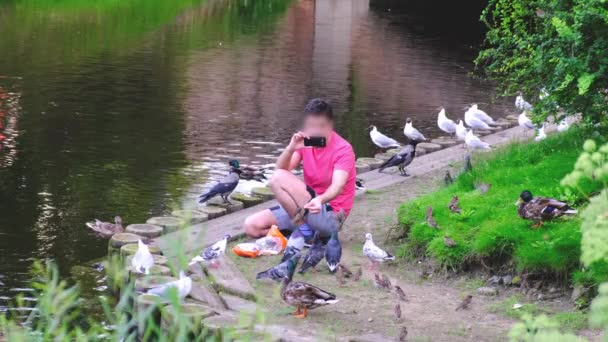 Hombre se sienta cerca del lago con aguas tranquilas y alimenta a las aves silvestres — Vídeos de Stock