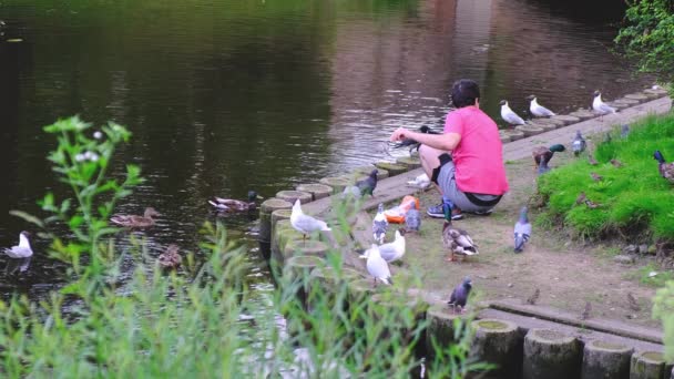 Människan matar vilda fåglar sitter nära sjön och ta bilder — Stockvideo