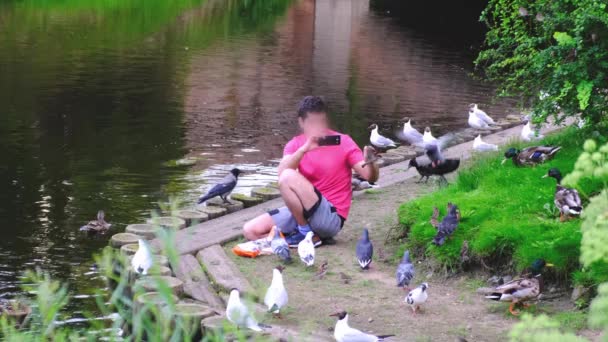 Jonge man hurkt in de buurt van vogels en voedt duiven met brood — Stockvideo