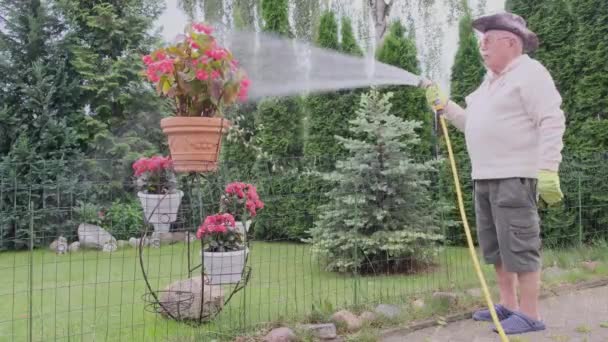 Důchodce vody hrnce květiny z hadice v chalupě dvoře — Stock video