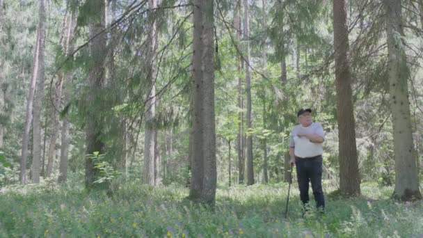 Senior man with stick walks along pine forest waving hand — Stock video