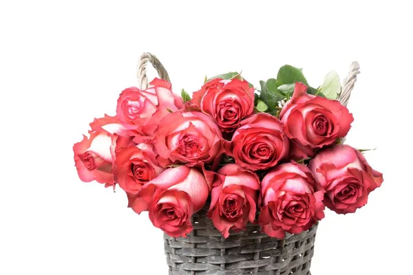 Fondo Gran Ramo Rosas Frescas Hermosas Color Rosa Blanco Una — Foto de Stock