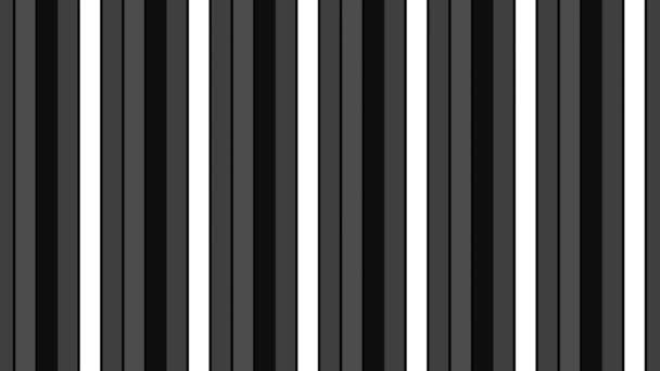 Graphic Pattern Black White Stroboscopic Hypnotic Effect While Increasing Size — Stock Video